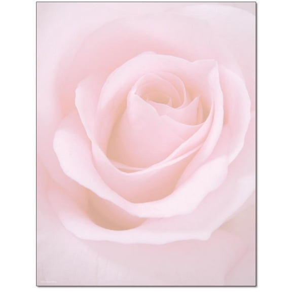 Blushing Rose Letterhead Laser & Inkjet Printer Paper, 100 Sheets