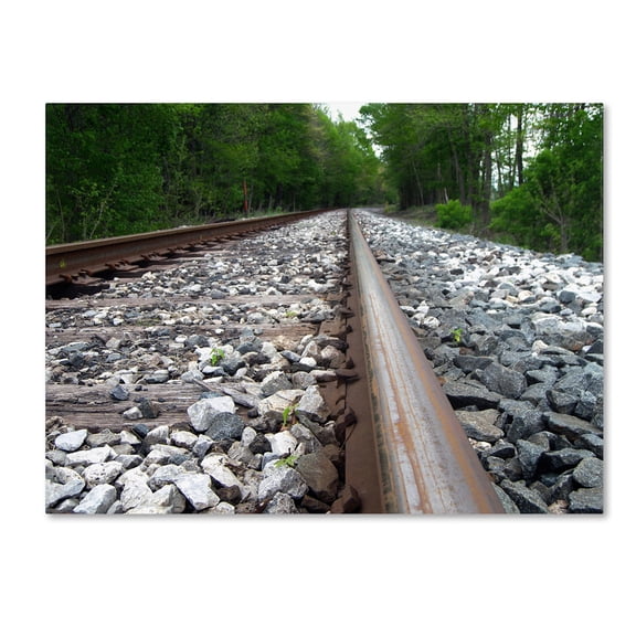 Trademark Fine Art "Guided Journey" Canvas Art by Monica Fleet