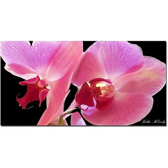 Trademark Fine Art "Orchid" Canvas Art by Kathie McCurdy