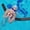 Black-BK, variant on MMJ Pool Foam Swim Stick Floating Hollow Tube Noodle for Swimming Lake Beach Water Games Training 59in