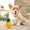 C, variante sur Jouets pour Animaux Titre de Produit Jouet de Dentition Congelable pour Chiens et Chiots avec Motif d'Ananas et de Melon d'Eau Jouet à Mâcher pour la Dentition et Chiots en Dentition Convenant à la Glace et Durable
