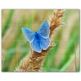 thumbnail image 1 of Picture-Tiles.com: Butterfly Ceramic Tile Wall Mural WAL500285-54XL. 60"W x 48"H using (20) 12" x 12" Ceramic Tiles-Satin Finish, 1 of 3