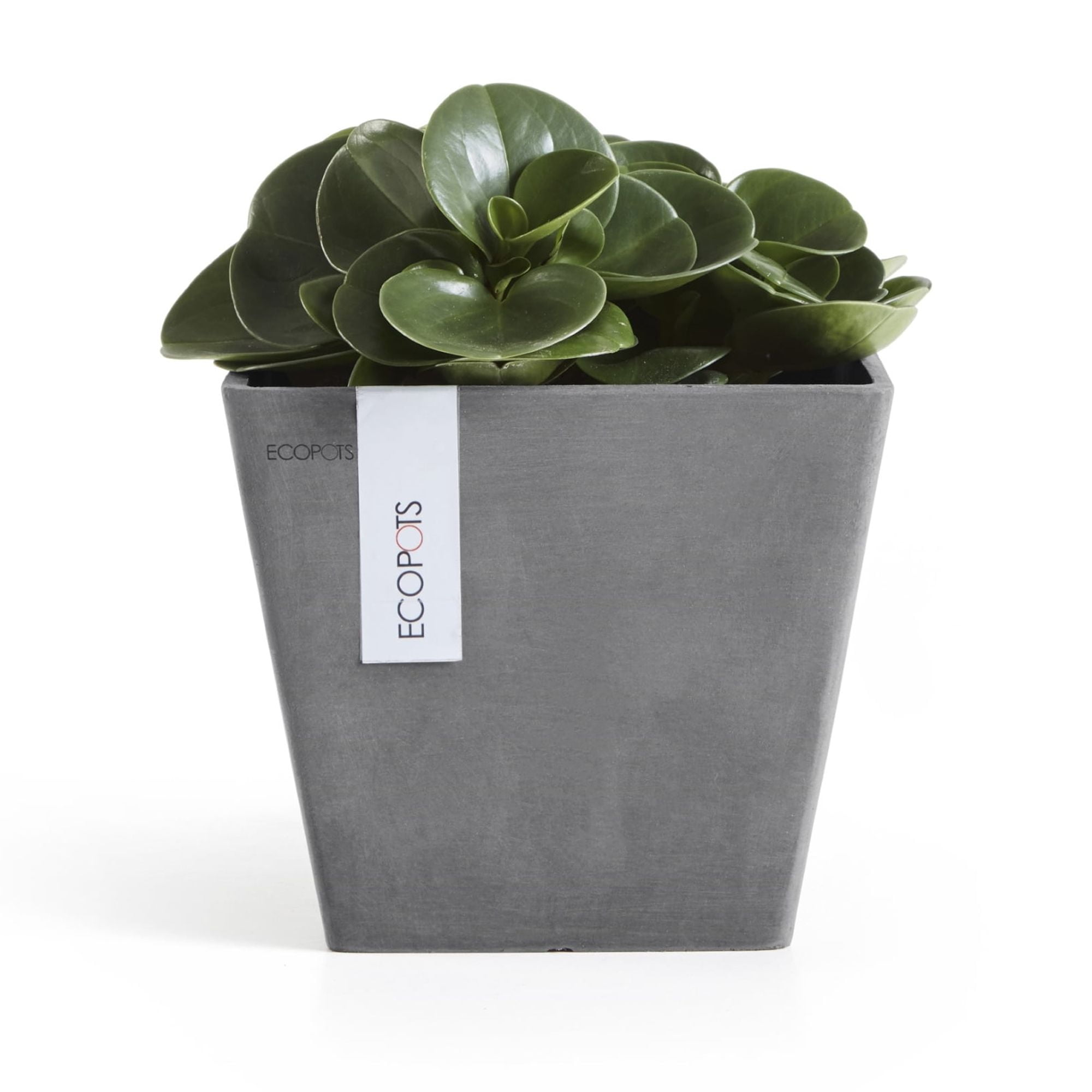 Ecopots Rotterdam Durable Modern Square Indoor/Outdoor Recycled Based Composite Flower Planter, Grey, 8"