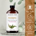 thumbnail image 4 of MAJESTIC PURE Eucalyptus Essential Oil | 100% Pure and Natural Eucalyptus Oil | Premium Grade Essential Oils for Hair Care, Home Diffusers, Skin, Aromatherapy, Massage and Humidifiers | 4 Fl Oz, 4 of 10