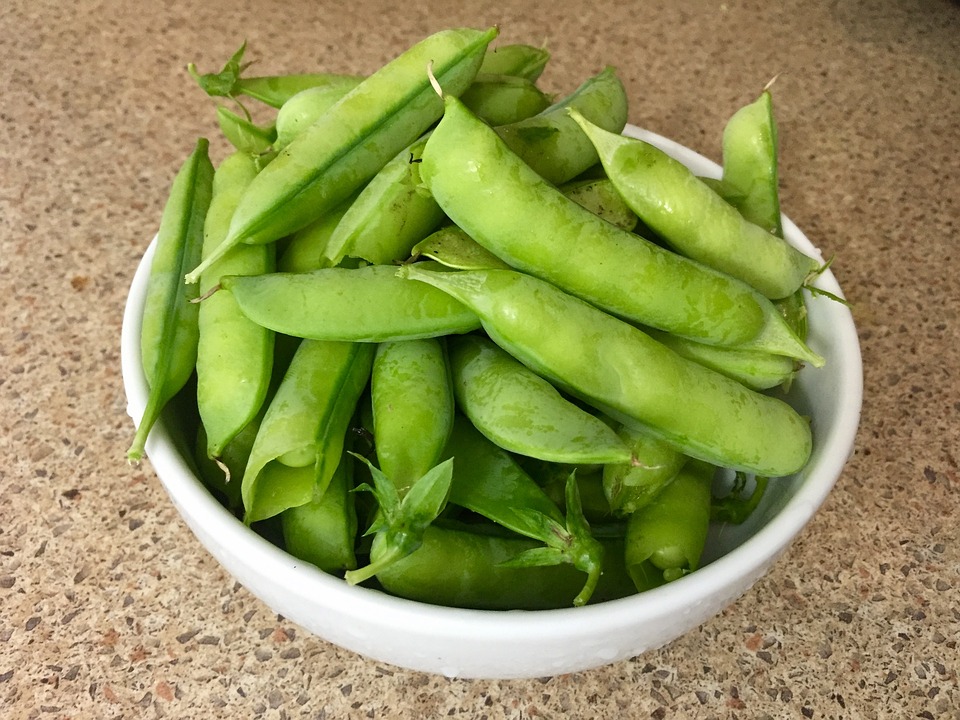 Vegetable Fresh Seasonal Sweet Pea Local Peas20 Inch By 30 Inch