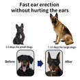 thumbnail image 3 of Herramienta de soporte adhesivo para orejas de perro, soporte vertical de corrección fija para orejas de perro para Doberman. (2,56 * 1,57), 3 of 5