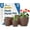 Brown, variant on Plant Pots with Multi Drainage Holes - 10 Pieces Versatile, Sturdy Plastic, Stackable Design Home Decor Flower Pots for Indoor and Outdoor Gardening - Black