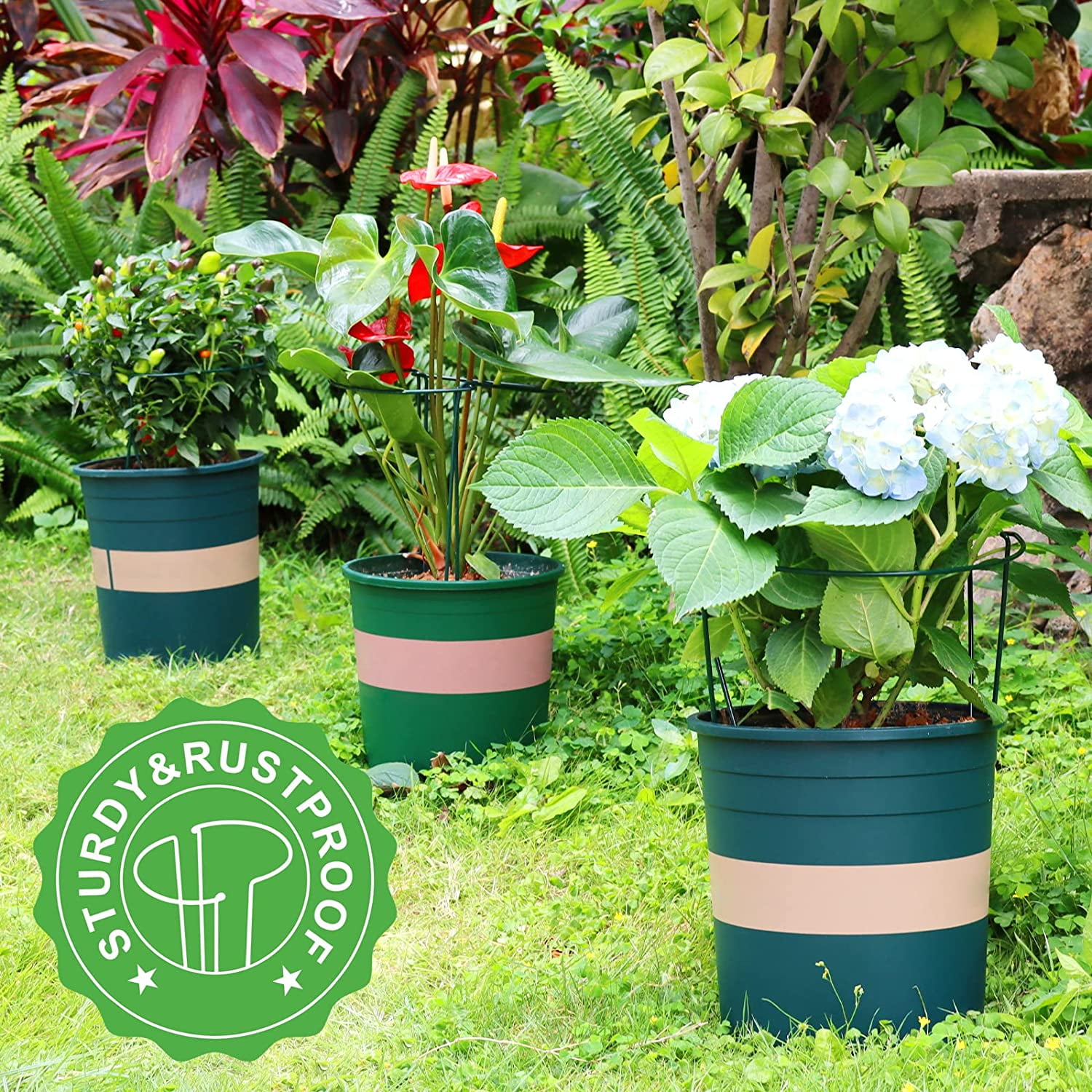 Plant Support Stakes, 6 PCS Peony Cages and Supports, Plant Stakes for Indoor Plants, Outdoor Plants, Monstera Tomato Hydrangea Support Cage, 10" W x 15.8" H