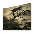 thumbnail image 2 of Designart "Beach Photo Coastal Euphony II" Nautical & Beach Print on Natural Pine Wood, 2 of 5