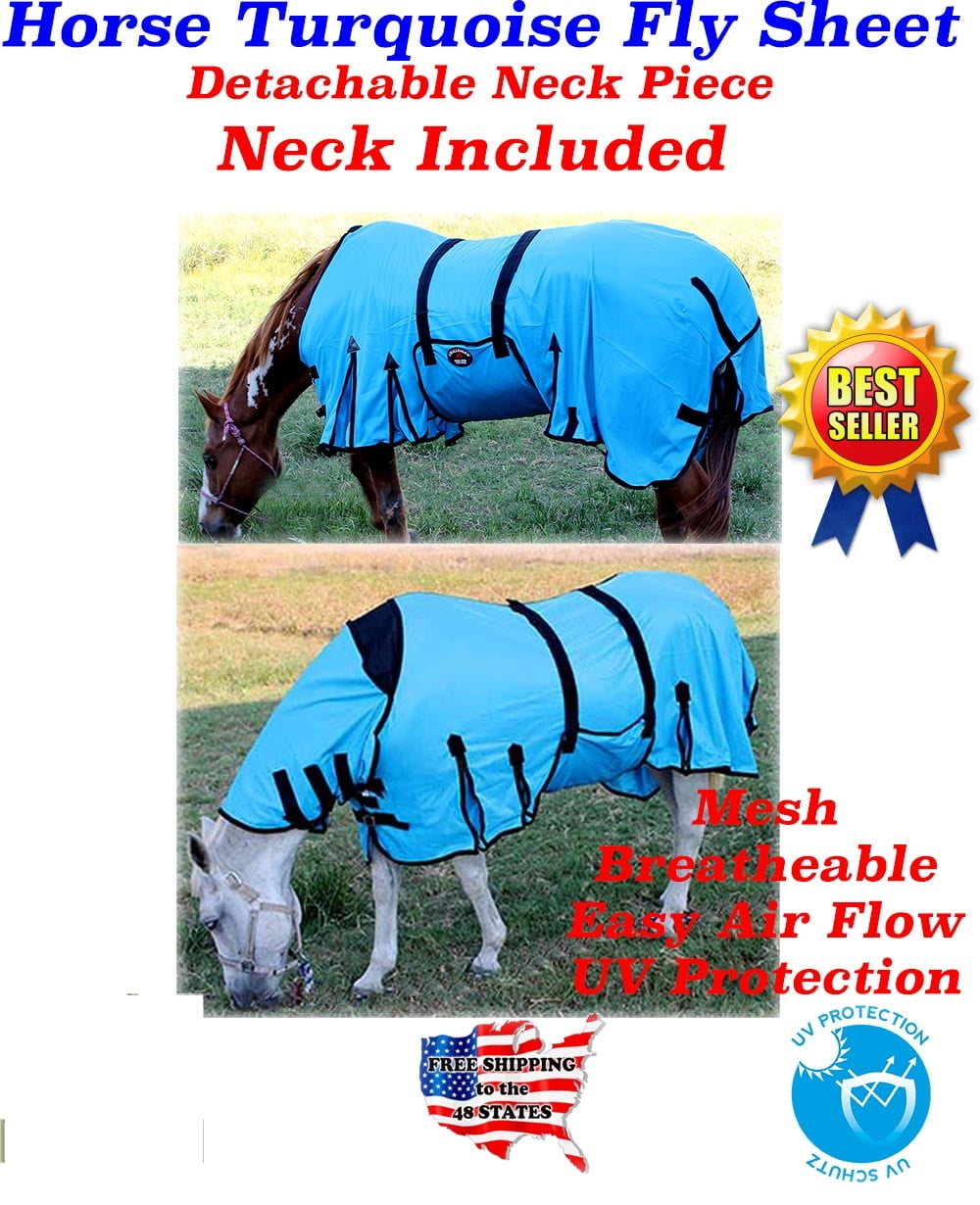 spring horse walmart