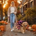 thumbnail image 5 of Halloween Pet Spider Costume Imitation Furry Spider Leg Harness Cosplay Outfit Funny Claasic Dress-Up Accessory for Medium to Large Dogs, 5 of 5