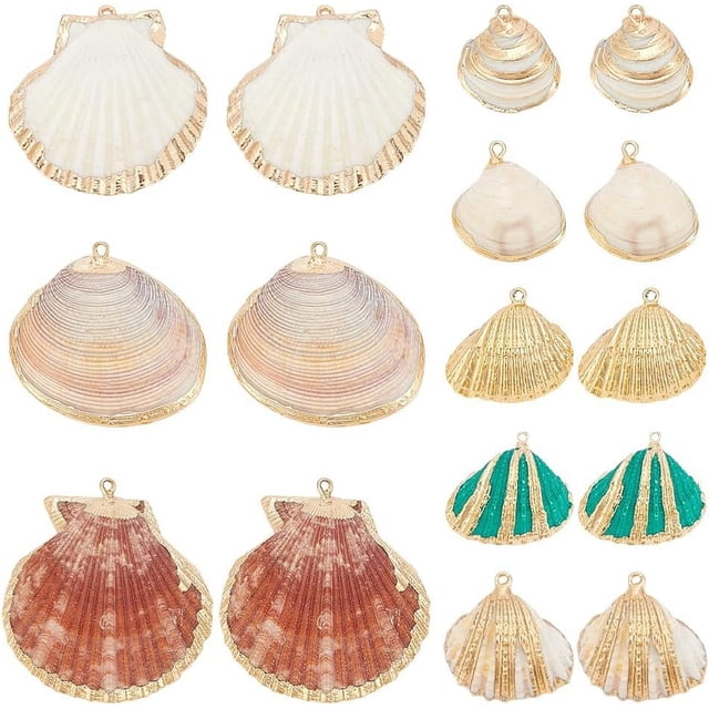 16 colgantes de conchas naturales en 8 estilos diferentes. Colgantes de vieira teñidos con conchas marinas. Colgantes de animales marinos para hacer joyas. Ideales para cumpleaños.