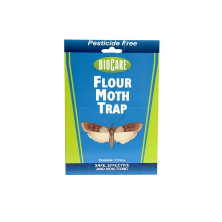 FLOUR & PANTRY MOTH TRAP (cut & fold)