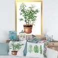 thumbnail image 3 of Designart 'Ficus Benjamina Plant In Clay Flowerpot' Traditional Framed Art Print, 3 of 4