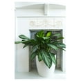 thumbnail image 3 of Napa Round Cylinder Fiberglass Planter, White, 15.5 Inch, 3 of 4