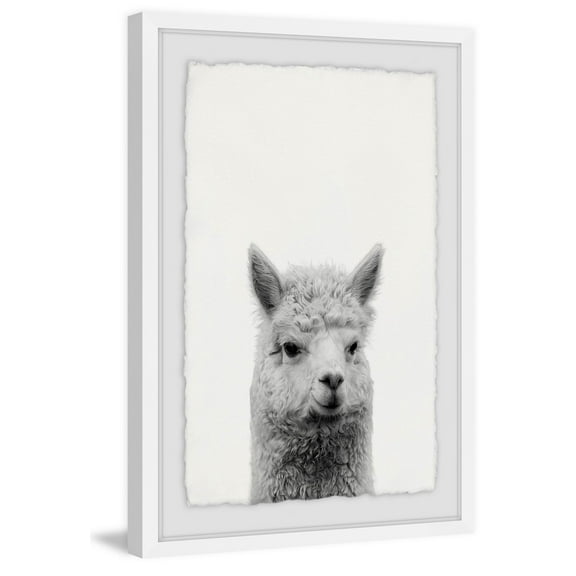 Gen X Llama Framed Painting Print