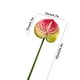 thumbnail image 3 of Flor de imitación de anturio,grulla de fuego,palmera artificial,arreglo floral para el salón de bodas,vegetación para el hogar,flores artificiales decorativas, 3 of 6