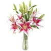 KaBloom Mother's Day Collection: Sailor's Sunset Bouquet of 5 Fresh Pink Lilies with Vase
