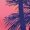 Q58-Hot Pink, variant on PRfgtbd Boys Swim Trunks With Compression Liner Kids Summer Quick Dry Bathing Suit Beach Shorts Graphic Swimwear Lightweight Bottoms 2-3 Years