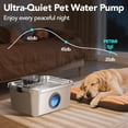 thumbnail image 5 of 3 Gallon Stainless Steel Dog Water Fountain with 4-Stage Filtration and Ultra-Silent Pump for Multiple Pets, 5 of 8