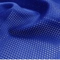 thumbnail image 1 of Camiseta de malla de fútbol Fabric Pico Textiles, azul real, 2 años, 1 of 9