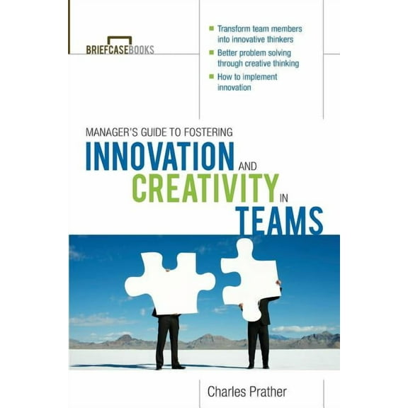 The Manager's Guide to Fostering Innovation and Creativity in Teams, (Paperback)