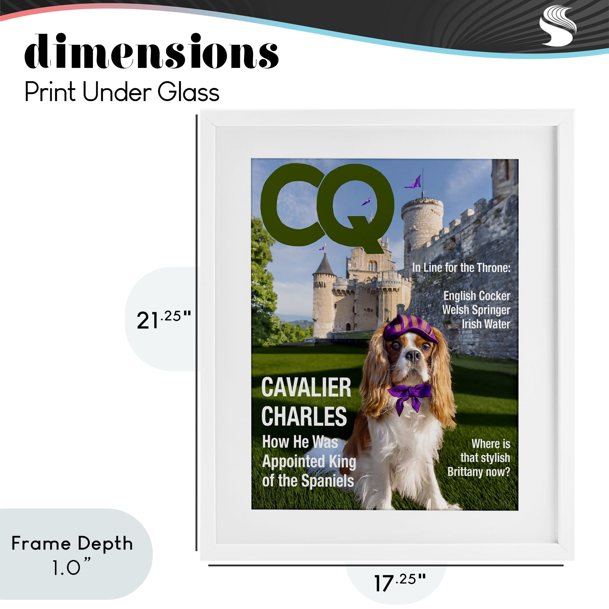 Stupell Industries Royal Cavalier Magazine White Framed Print Under Glass, design by Grotto Studios