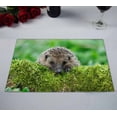 thumbnail image 2 of PKQWTM Wild Hedgehog On A Green Moss Covered Log With A Green Kitchen Dining Table Mats Placemats Size 12x18 Inches, Set of 2 Pieces, 2 of 2