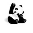 thumbnail image 3 of CafePress - Pandamonium - Women's Dark Pajamas, 3 of 4