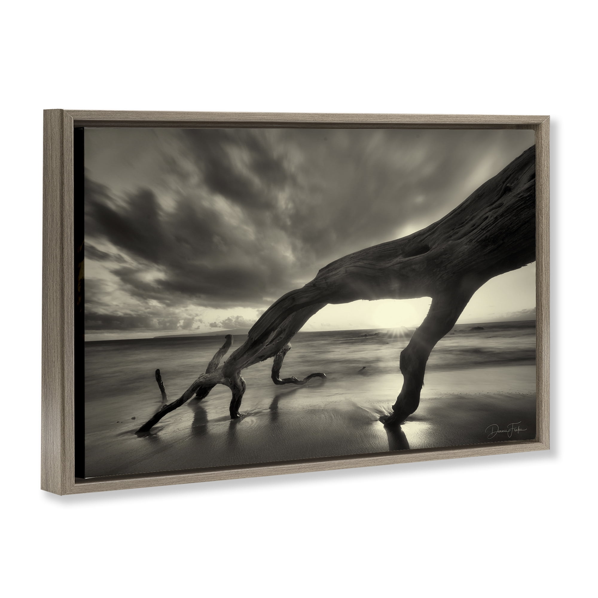 Stupell Industries Tree Trunk on Shore Landscape Photography Brown Floater Framed Canvas Art Print Wall Art, 31 x 21