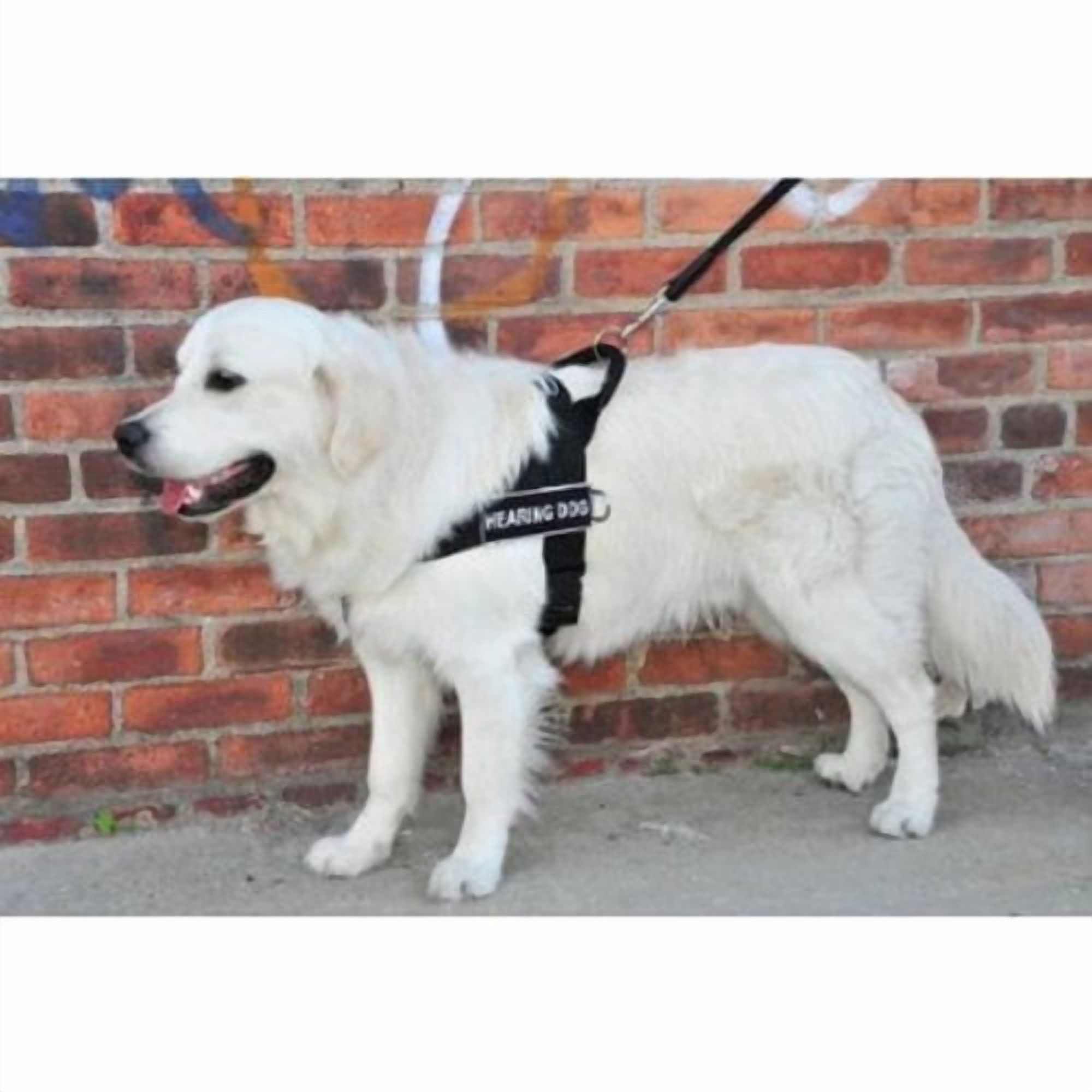 DT Universal No Pull Dog Harness, Hearing Dog, Black, X-Large, Fits Girth Size: 36-Inch to 47-Inch