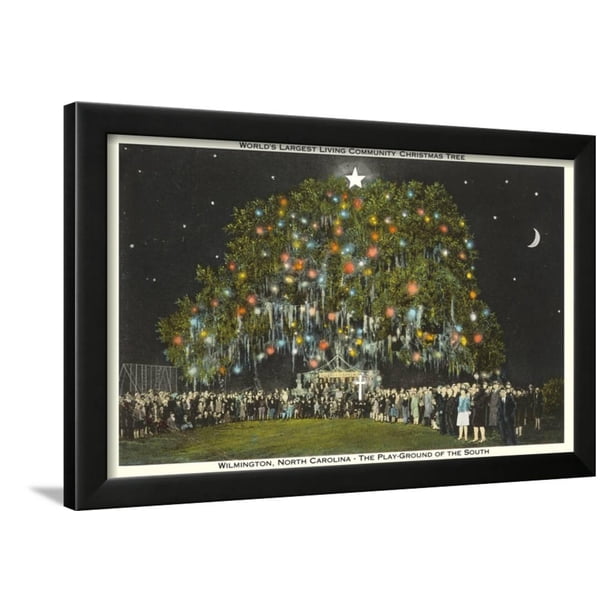 Community Christmas Tree Wilmington North Carolina Framed Print Wall Art Walmart Com Walmart Com
