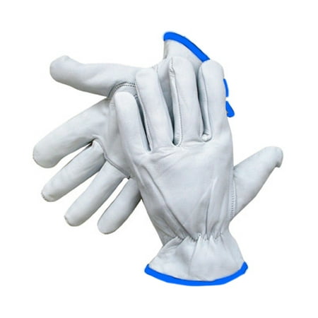 

Radnor X-Large Natural Premium Grain Goatskin Unlined Drivers Gloves (12 Pairs)