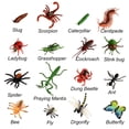 thumbnail image 2 of Figuras Bug Play BOHS XB-LB523, 16 unidades, para uso educativo, 2 of 7