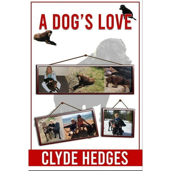 A Dog's Love (Paperback)