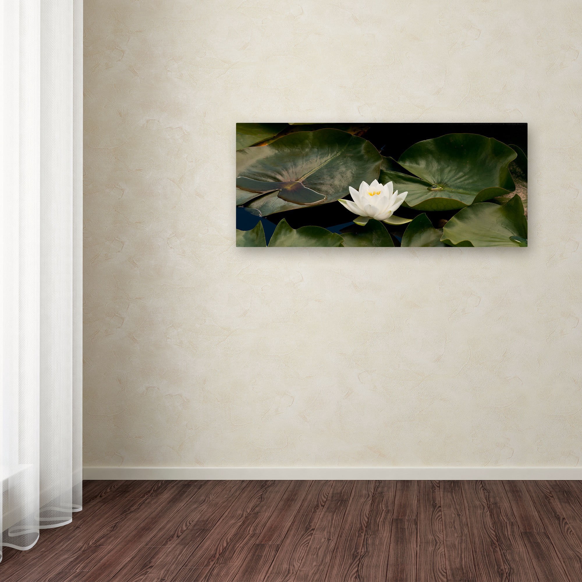 Trademark Fine Art "Zen Lily" Canvas Art by Kurt Shaffer