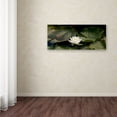 thumbnail image 4 of Trademark Fine Art "Zen Lily" Canvas Art by Kurt Shaffer, 4 of 4