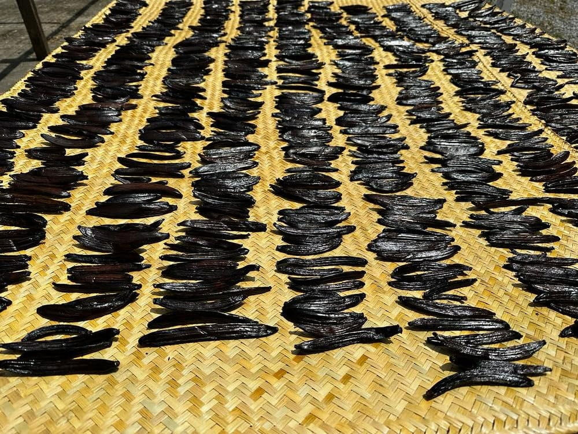 Guatemalan Vanilla Beans Whole Grade A Vanilla Pods for Homemade Vanilla Extract, Baking, Ice Cream, Flavoring, & Vanilla Powder - (10 Pack)