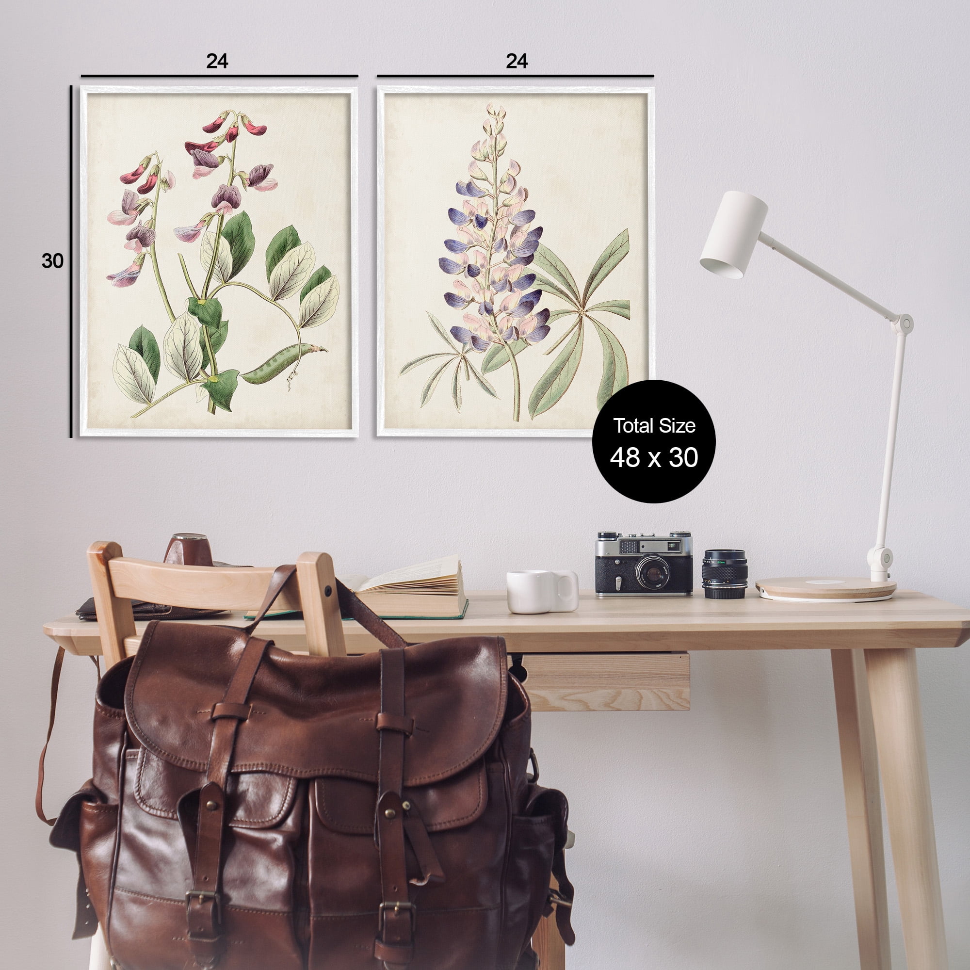 Stupell Industries Foxglove Latin Studies Botanical & Floral Painting White Framed Art Print Wall Art, 24 x 30, Set of 2