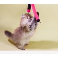 thumbnail image 5 of 2 Set Elassy Handmade RoboWhisk  Teaser Wand Cat Toy with Plush Tails, Bells,  Heart Topper, 5 of 6