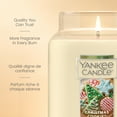 thumbnail image 4 of Bougie parfumée Yankee Candle, format original grande jarre, 4 of 7