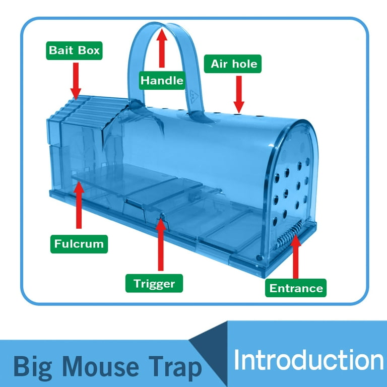 3 Pack Enlarged Humane Mouse Traps No Kill Rat Trap with Handle, Reusable Catch and Release Chipmunk Trap, Pet and Children Friendly Mice Trap That