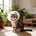 thumbnail image 2 of pangttian Soft e Collar for Small Dogs & Cats, After Surgery Recovery Cone to Stop Licking, 2 of 5
