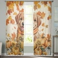 thumbnail image 2 of Orange Cute Dog Sheer Curtains 96 Inches Long 2 Panels Set, Window Sheer Curtains for Living Room/Bedroom, Fall Pumpkins Maple Leaves Retro Pastoral Light Filtering Rod Pocket Curtain 52'' x 96'' x 2, 2 of 7