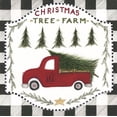 thumbnail image 2 of Shamp, Cindy 12x12 White Modern Wood Framed Museum Art Print Titled - Christmas Tree Farm II, 2 of 4