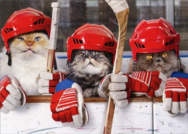 Hockey Cats Funny Birthday Card Greeting Card by Avanti