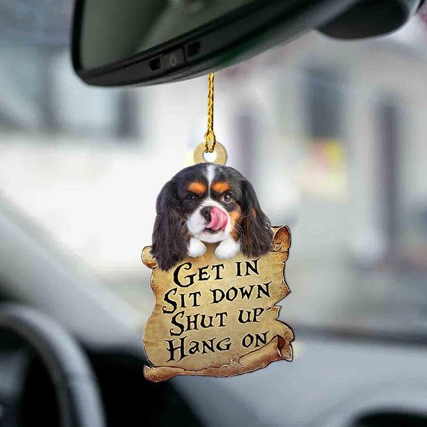 Bonito adorno colgante para coche de perro con adornos colgantes de globos coloridos Wmkox8yii fhajkh1132
