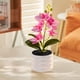 thumbnail image 1 of Orquídea bonsái artificial, decoración de escritorio de oficina para bodas, blanco y rosa con rayas, 1 of 6