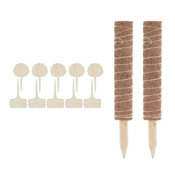 Soporte de extensión para plantas trepadoras Los 40cm