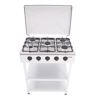 Coleman Guide Series Powerhouse Dual Fuel Gas Camping Stove, 2